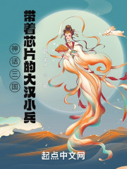 男主女主是岳超,曹操,皇甫嵩的小说是什么_神话三国：带着芯片的大汉小兵