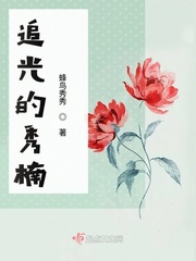男主女主是杨一博,陈洛,林美妍的小说是什么_追光的秀楠