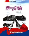 第一卷决策规划第1章决定西部大开发战略2004年4月16日，在上海召开的国际科普论坛上，全国人大环境_西气东输：西气东输工程开工建设