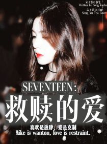 小说《SEVENTEEN：救赎的爱》TXT下载_SEVENTEEN：救赎的爱
