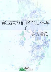 男主女主是萧敏,李岚,萧珉的小说是什么_穿成纯爷们将军后怀孕了