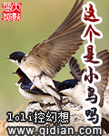 男主女主是燕宇,杰西卡,艾琳的小说是什么_这个是小鸟吗