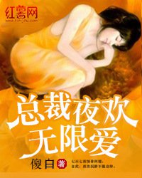 男主女主是黎宋,魏韶,夏瑶的小说是什么_总裁夜欢无限爱