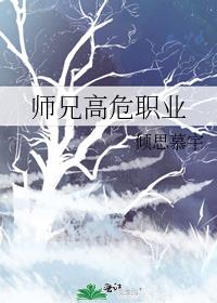 师兄高危职业免费阅读小说_师兄高危职业