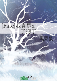 小说《[Fate]我真是x了狗了》TXT下载_[Fate]我真是x了狗了