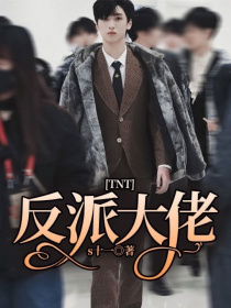 小说《TNT：反派大佬》TXT百度云_TNT：反派大佬