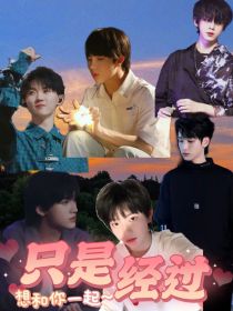 小说《TF家族：只是经过》TXT百度云_TF家族：只是经过