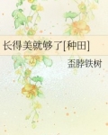 小说《长得美就够了[种田]》TXT下载_长得美就够了[种田]