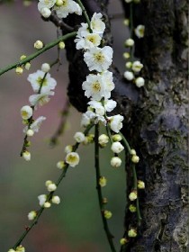 小说《离心永存——d751》TXT下载_离心永存——d751