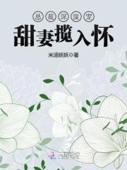 总裁宠揽入怀_总裁深度宠：甜妻揽入怀