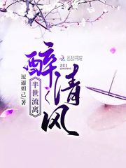 小说《半世流离醉清风》TXT百度云_半世流离醉清风