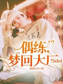 小说《NPC偶练.梦回大厂当idol》TXT百度云_NPC偶练.梦回大厂当idol