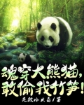 小说《魂穿大熊猫，敢偷我竹笋！》TXT百度云_魂穿大熊猫，敢偷我竹笋！