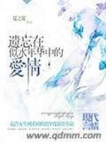 男主女主是江时宇,霍启凡,李薇的小说是什么_遗忘在似水年华中的爱情