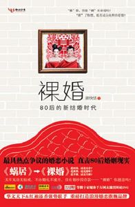 男主女主是刘易阳,锦锦,童佳倩的小说是什么_裸婚--80后的新结婚时代