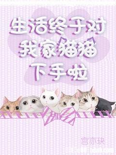 男主女主是嘉良,彭格,古川的小说是什么_[综]生活终于对我家猫猫下手啦