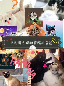 京剧猫穿越现代_京剧猫之现代（划掉）穿越的冒险