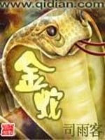 金蛇卫小说_金蛇