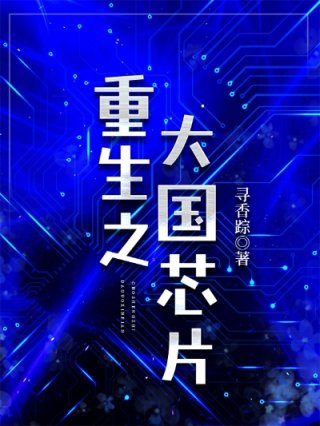 [小说]晋江VIP2022.11.30完结 总书评数：5225当前被收藏数：11391 芯片设计天才晏旻因为_重生之大国芯片