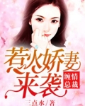 男主女主是江玉颖,叶珉,高心瑶的小说是什么_缠情总裁：惹火娇妻来袭