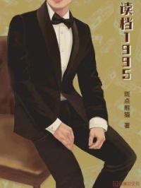 男主女主是段峰,段建桥,刘华的小说是什么_读档1995
