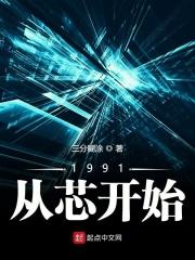 1991从芯开始txt下载_1991从芯开始