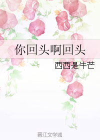 小说《你回头啊回头》TXT百度云_你回头啊回头