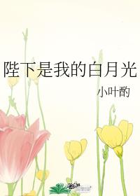 男主女主是方果,姚湘,赵婉婉的小说是什么_陛下是我的白月光