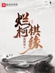 烂柯棋缘txtepub_烂柯棋缘