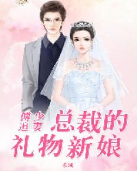 小说《傅少追妻：总裁的礼物新娘》TXT百度云_傅少追妻：总裁的礼物新娘
