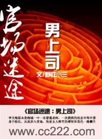 李玉梅原本个最痛恨那些为了金钱而牺牲自己色相甘愿做有钱男人情人的女人。可是，世事无常，万事难料。说能_官场迷途：男上司