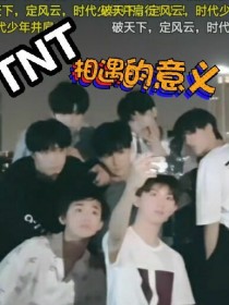 小说《TNT：相遇的意义》TXT下载_TNT：相遇的意义