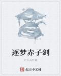 男主女主是灵儿,萧易峰,苏震涛的小说是什么_名剑之龙泉