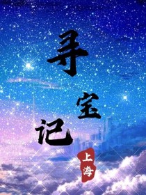 小说《上海寻宝记》TXT下载_上海寻宝记