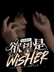 小说《致命愿望：欲望是wisher》TXT下载_致命愿望：欲望是wisher