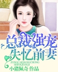 男主女主是申筱雨,贺长峰,林岚的小说是什么_假如明天还爱你