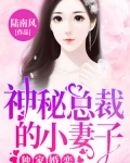 林清欢言锦泽《独家婚恋：神秘总裁的小妻子》_独家婚恋：神秘总裁的小妻子