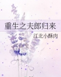 小说《重生之夫郎归来》TXT下载_重生之夫郎归来