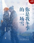 男主女主是安哲,江雪,蒋兰的小说是什么_你是我冬季的一场雪