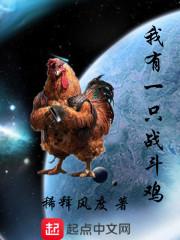 小说《我有一只战斗鸡》TXT百度云_我有一只战斗鸡