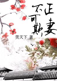 君绿绮赵普初《正妻不可欺》_正妻不可欺