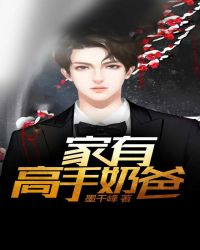 男主女主是展亭,沈白,王颖的小说是什么_家有高手奶爸