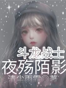 男主女主是洛初,欧阳,洛墨泽的小说是什么_斗龙：夜殇陌影