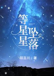 男主女主是星遥,西西,林佳的小说是什么_等星星坠落