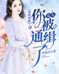 翟绍深翟绍《染指成婚：女人，你被通缉了》_染指成婚：女人，你被通缉了