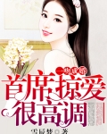 宁雅欣靳斯南《一吻成婚：首席掠爱很高调》_一吻成婚：首席掠爱很高调