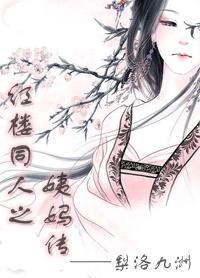 男主女主是林如海,贾琏,王熙凤的小说是什么_红楼同人之姨妈传