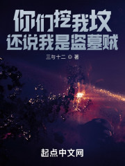 小说《你们挖我坟，还说我是盗墓贼？》TXT下载_你们挖我坟，还说我是盗墓贼？