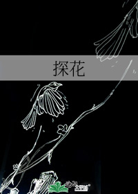 小说《探花》TXT百度云_探花