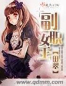 小说《副职女王》TXT下载_副职女王